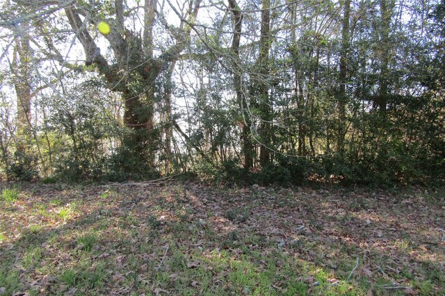 TBD0 Chain Rd, Livingston, TX 77351