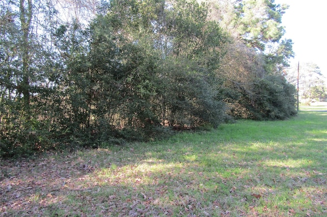 TBD0 Chain Rd, Livingston, TX 77351