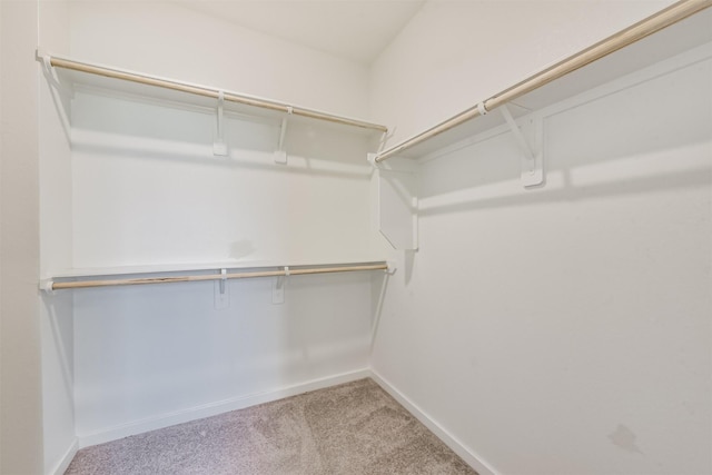 21606 Laggan Cliff Ln, Cypress, TX 77433 - walk in closet featuring carpet flooring