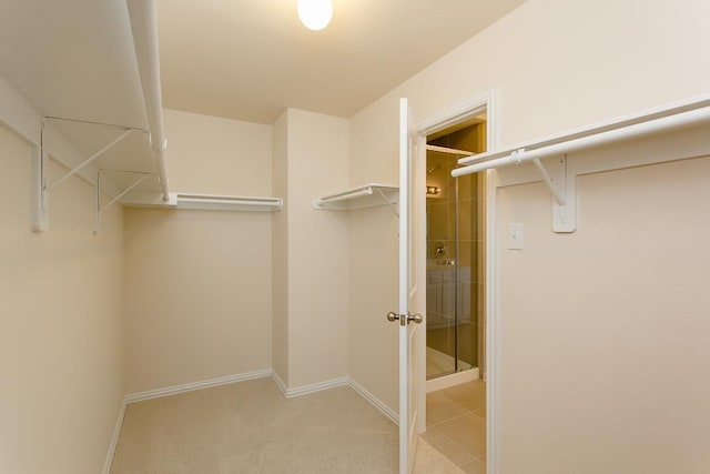 1626 Summer City Dr, Houston, TX 77047 - spacious closet with carpet