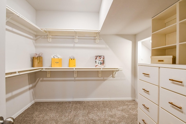 209 Cambria Green Ln, Katy, TX 77493 - walk in closet with carpet