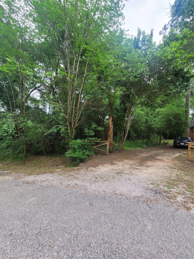 20 Shannon St, Huntsville, TX 77320 - view of yard