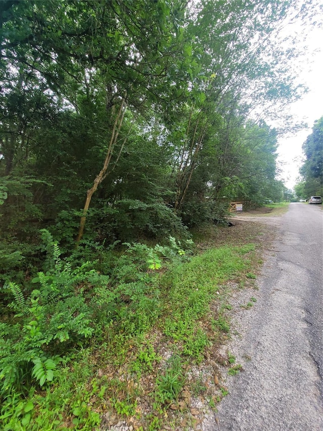 20 Shannon St, Huntsville, TX 77320 - view of asphalt road