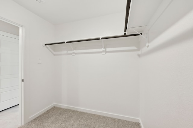 spacious closet with light colored carpet