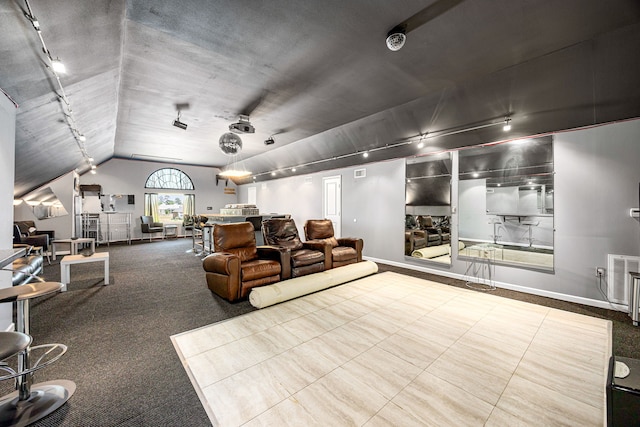 2119 Red Bird Ln, Brookshire, TX 77423 - cinema featuring rail lighting, vaulted ceiling, baseboards, and carpet flooring