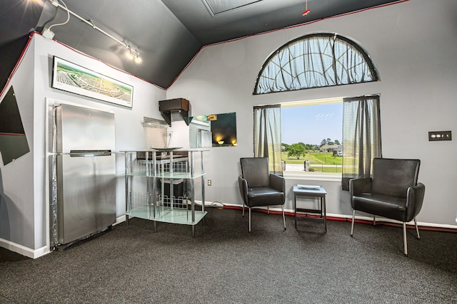 2119 Red Bird Ln, Brookshire, TX 77423 - living area featuring baseboards, track lighting, and lofted ceiling