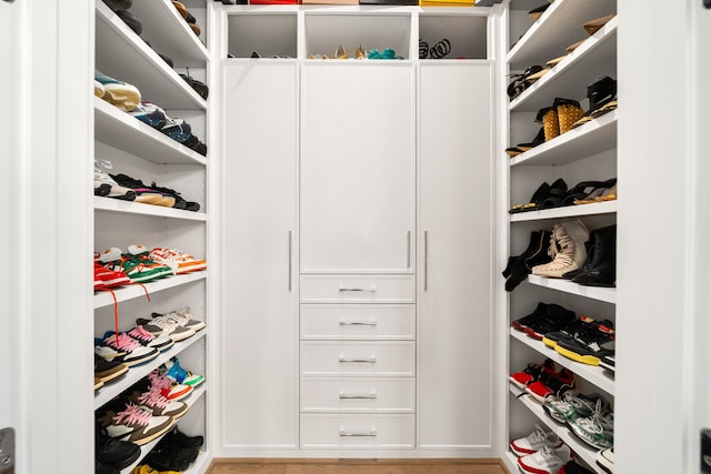 5820 Winsome Ln Unit B, Houston, TX 77057 - view of spacious closet