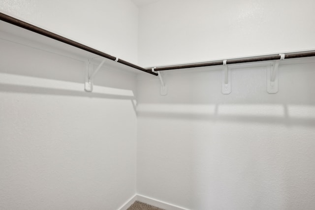 18717 Bliss Pl, New Caney, TX 77357 - walk in closet with carpet