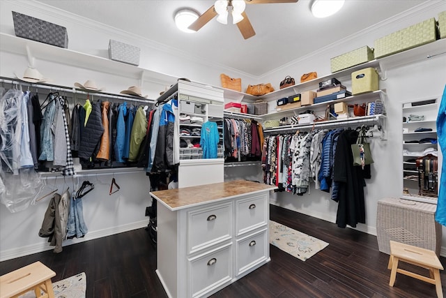 37922 Clubhouse Ln, Magnolia, TX 77355 - walk in closet featuring a ceiling fan and dark wood-style flooring