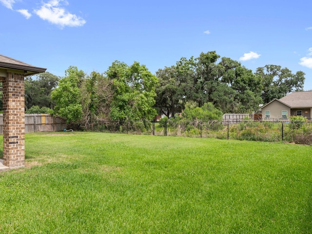 244 Mossy Meadow Dr, West Columbia, TX 77486 - view of yard