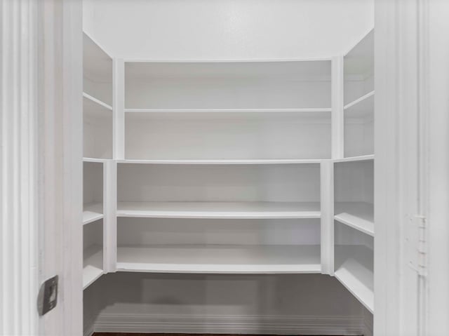 244 Mossy Meadow Dr, West Columbia, TX 77486 - view of pantry