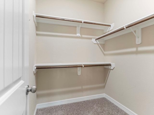244 Mossy Meadow Dr, West Columbia, TX 77486 - spacious closet featuring carpet flooring