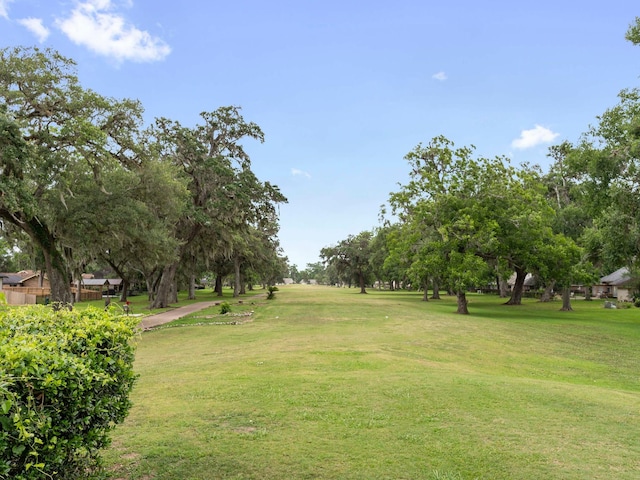 244 Mossy Meadow Dr, West Columbia, TX 77486 - view of community featuring a lawn