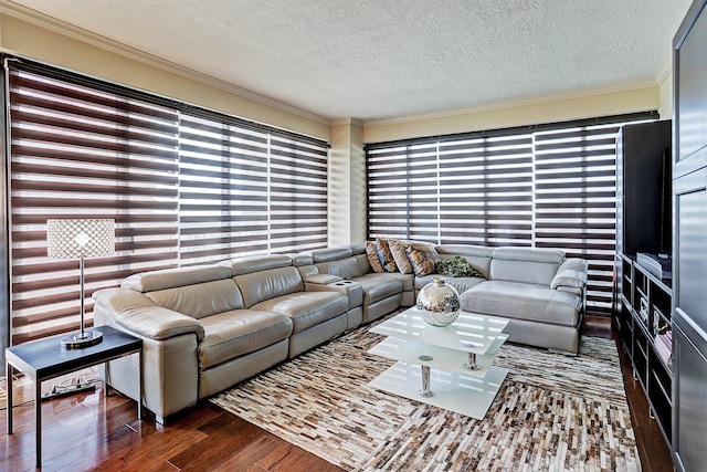 3350 Mccue Rd Unit 702, Houston, TX 77056 - living room with ornamental molding, wood finished floors, and a textured ceiling