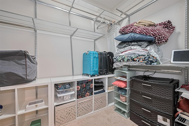 2822 Bluesage Bluff Dr, Richmond, TX 77406 - walk in closet with carpet