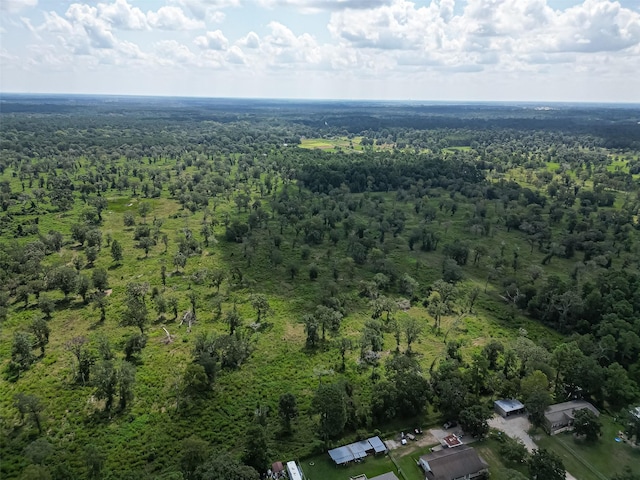 23711 Saxon Way, Hockley, TX 77447 - aerial overview of property's location with a forest
