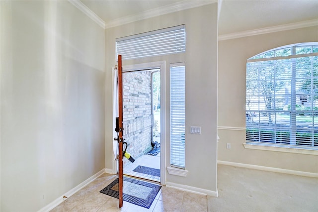 entrance foyer with healthy amount of natural light, baseboards, and ornamental molding