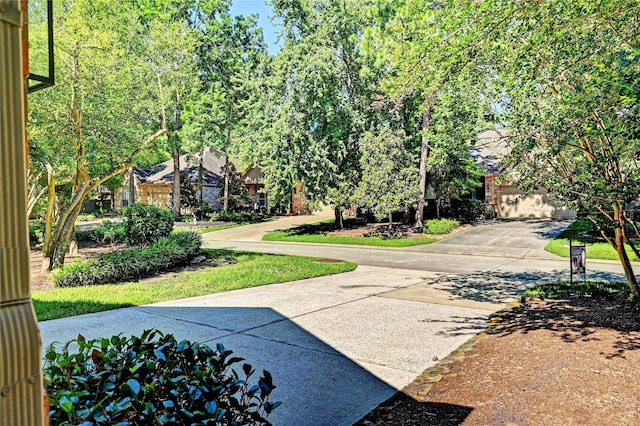 surrounding community with concrete driveway