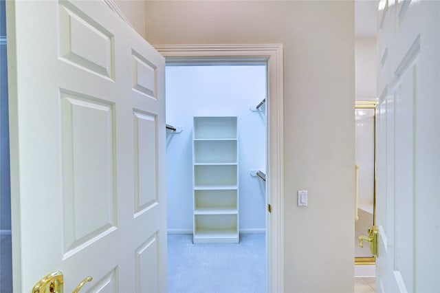 spacious closet featuring carpet flooring