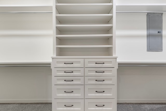 11623 Aspenway Dr, Houston, TX 77070 - spacious closet with electric panel and carpet flooring
