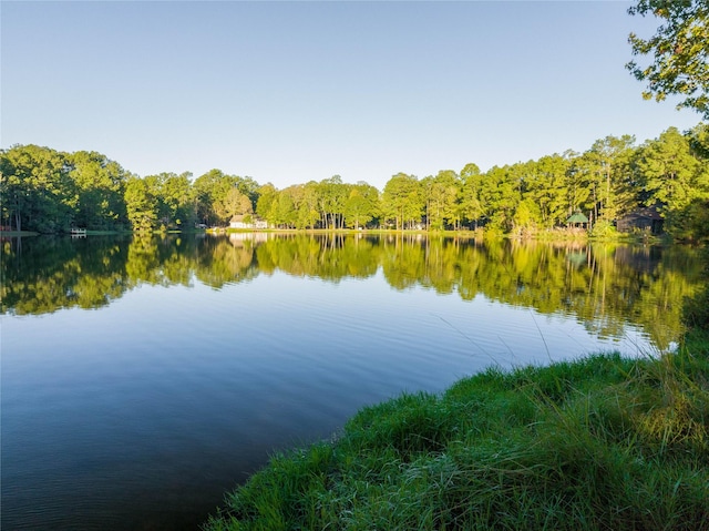 water view with a heavily wooded area