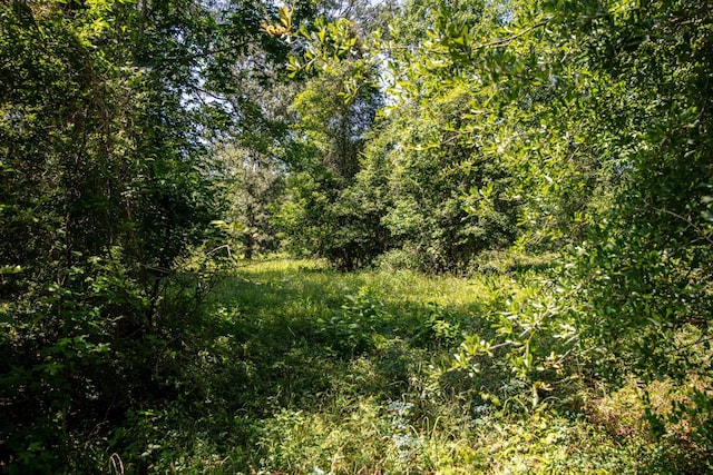 TBD County Road 3011, Dayton, TX 77535