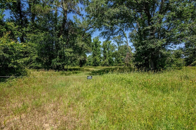 TBD County Road 3011, Dayton, TX 77535