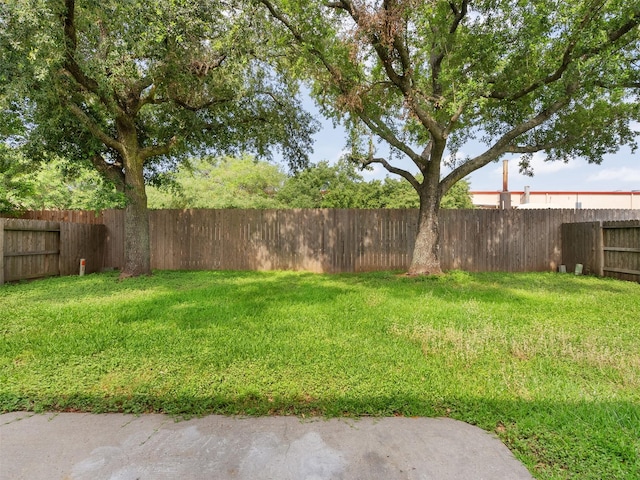 6123 Dove Fern Ct, Houston, TX 77041 - view of yard