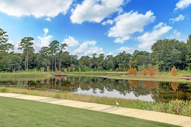 4404 Dickson St Unit B, Houston, TX 77007 - water view with a forest