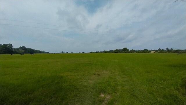 1 County Road 3465, Lovelady, TX 75851