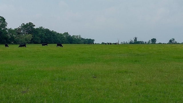 1 County Road 3465, Lovelady, TX 75851