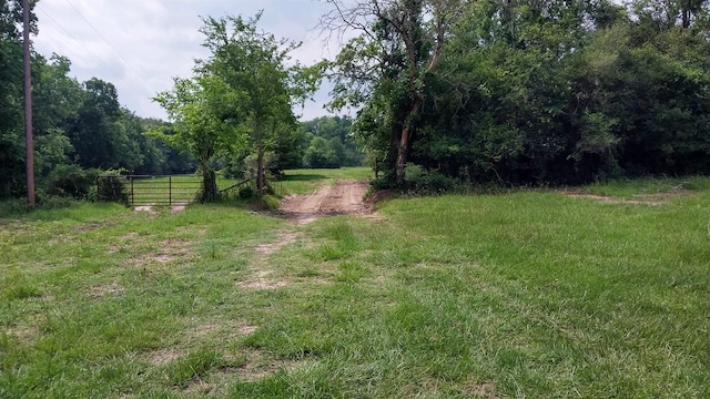 1 County Road 3465, Lovelady, TX 75851