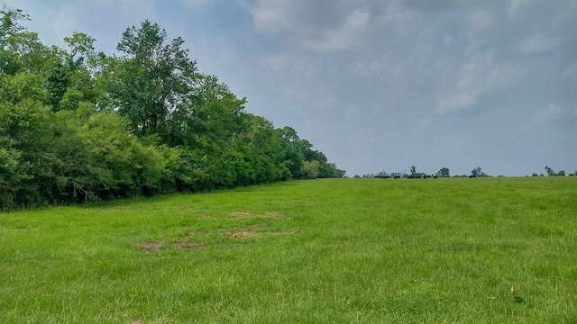 1 County Road 3465, Lovelady, TX 75851