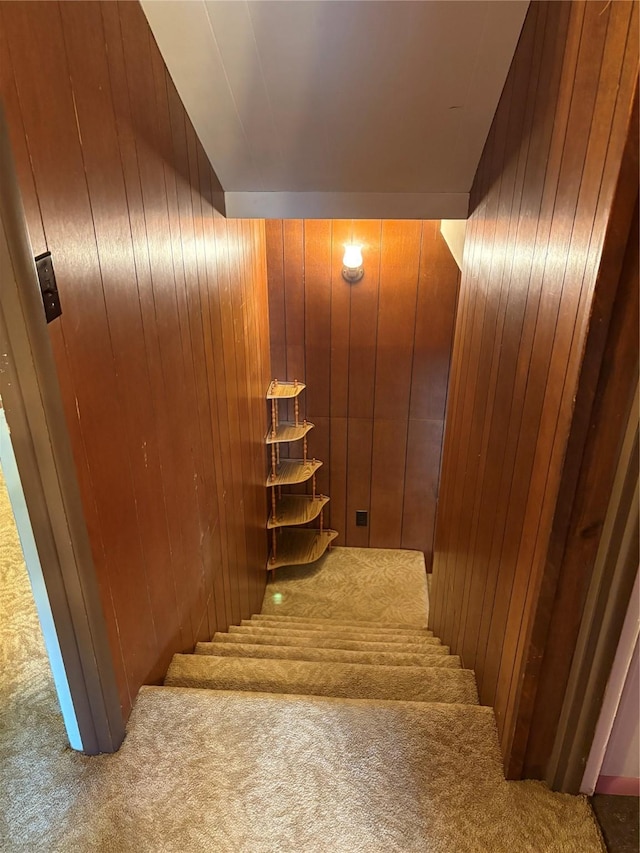 104 Crooked Creek Dr, Sheridan, TX 77475 - stairway with carpet and wooden walls