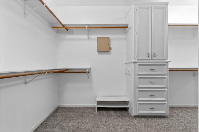 14834 Plantation Oak Dr, Houston, TX 77068 - spacious closet with carpet floors