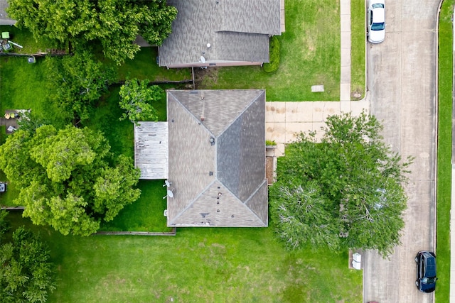 bird's eye view