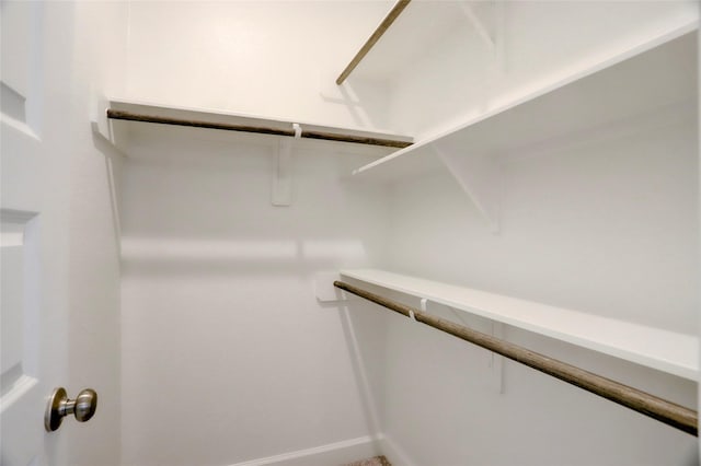2327 Partridgeberry Ln, Katy, TX 77494 - view of walk in closet