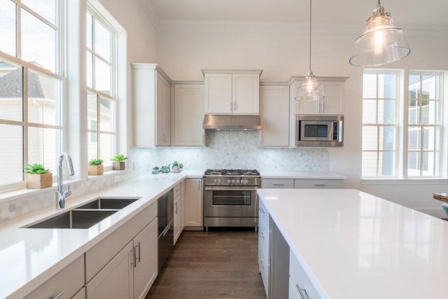 5304 S Capitol St, Houston, TX 77023 - kitchen with stainless steel appliances, a sink, under cabinet range hood, crown molding, and dark wood-type flooring
