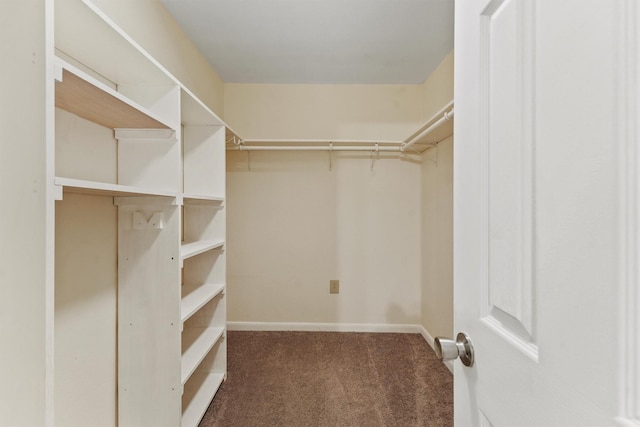 1314 Robert St, Baytown, TX 77521 - walk in closet featuring carpet floors