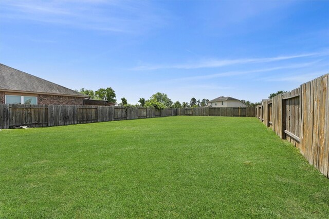 22607 August Crow Dr, Hockley, TX 77447 - view of yard