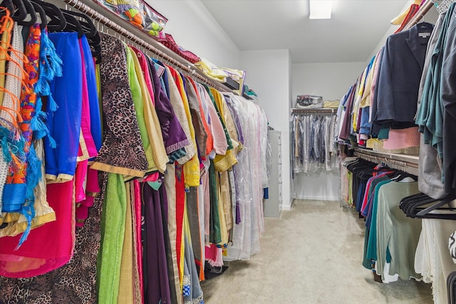 6015 Turner Shadow Ln, Sugar Land, TX 77479 - spacious closet with carpet flooring