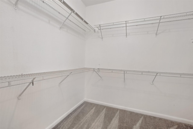 1330 Old Spanish Trl Unit 7207, Houston, TX 77054 - spacious closet featuring light carpet