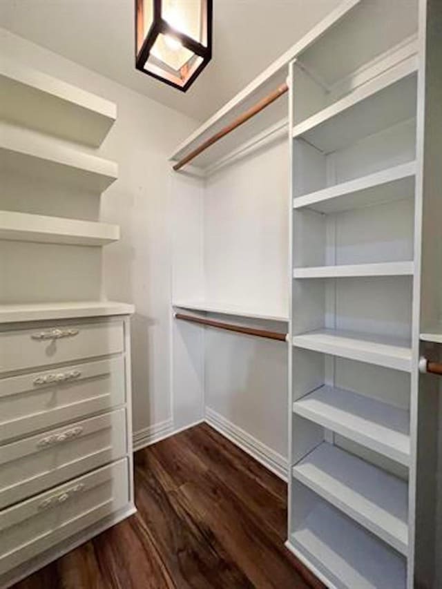 225 Lexington Dr, Vidor, TX 77662 - spacious closet with dark wood-type flooring