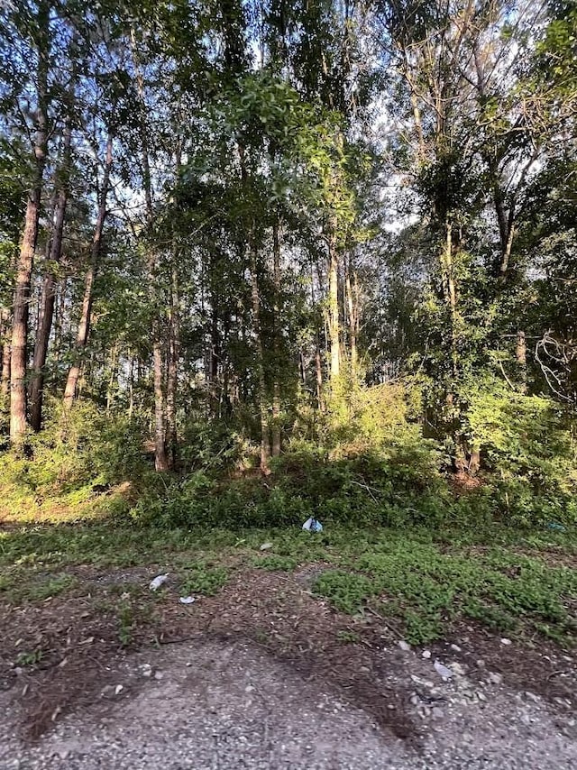 19228 Kings Row, New Caney, TX 77357