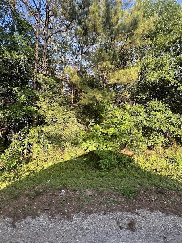 19228 Kings Row, New Caney, TX 77357