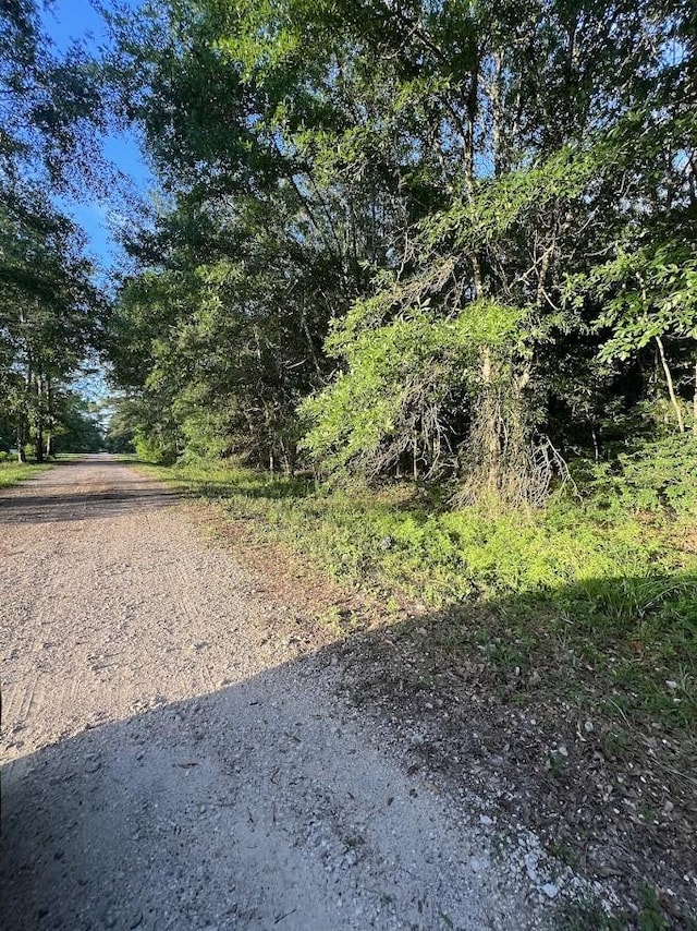 19228 Kings Row, New Caney, TX 77357