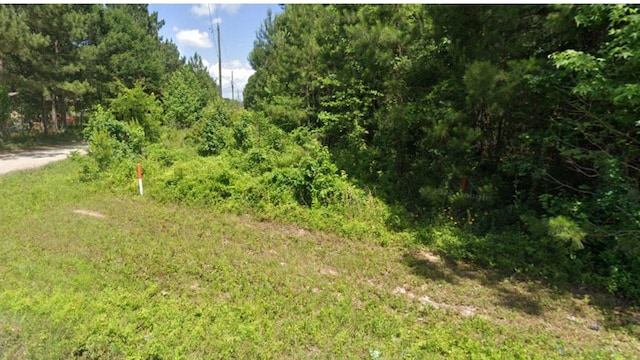 19225 Kings Row, New Caney, TX 77357