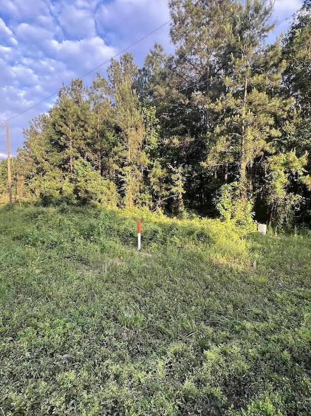 19225 Kings Row, New Caney, TX 77357