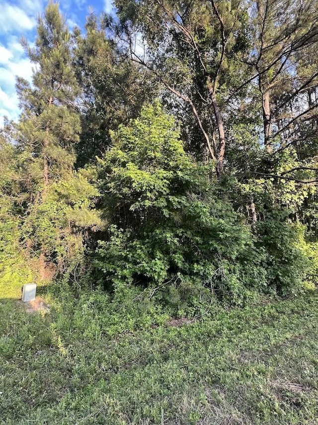 19241 Kings Row, New Caney, TX 77357