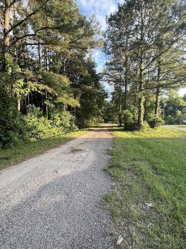 19241 Kings Row, New Caney, TX 77357